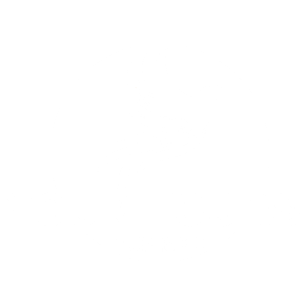 Logo Your Tours